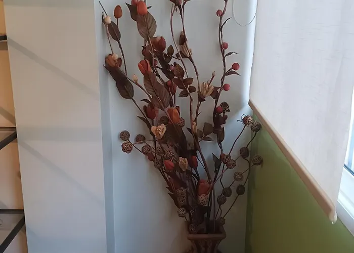 Apartamento La Lola Las Palmas de Gran Canárias