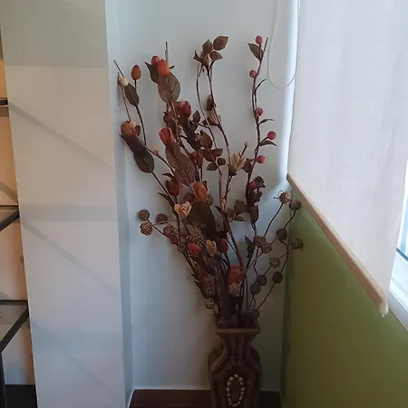 Apartamento La Lola Las Palmas de Gran Canárias